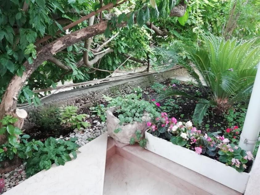 Apartmani Miki بودغورا المظهر الخارجي الصورة